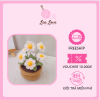Chậu Hoa Len Handmade Hoa Cúc Mini – Trang Trí Bàn Làm Việc, Quà Tặng Ý Nghĩa Tinh Tế 11 Screenshot 2026 03 30 223842